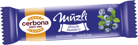 Blueberry muesli bar